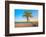 A Coconut Tree on a Deserted Tropical Beach at Sunset-Kamira-Framed Photographic Print