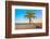 A Coconut Tree on a Deserted Tropical Beach at Sunset-Kamira-Framed Photographic Print