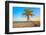 A Coconut Tree on a Deserted Tropical Beach at Sunset-Kamira-Framed Photographic Print