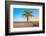 A Coconut Tree on a Deserted Tropical Beach at Sunset-Kamira-Framed Photographic Print