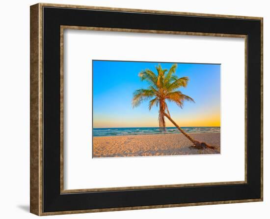 A Coconut Tree on a Deserted Tropical Beach at Sunset-Kamira-Framed Photographic Print