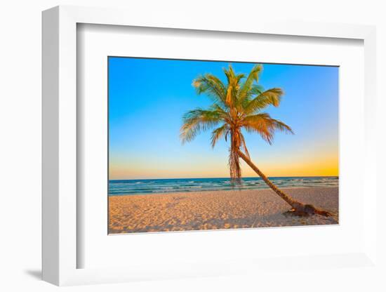 A Coconut Tree on a Deserted Tropical Beach at Sunset-Kamira-Framed Photographic Print