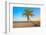 A Coconut Tree on a Deserted Tropical Beach at Sunset-Kamira-Framed Photographic Print