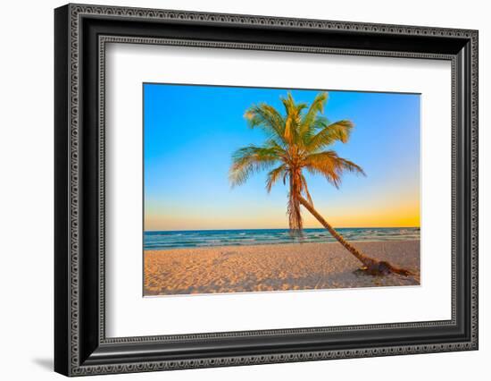 A Coconut Tree on a Deserted Tropical Beach at Sunset-Kamira-Framed Photographic Print