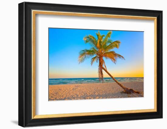 A Coconut Tree on a Deserted Tropical Beach at Sunset-Kamira-Framed Photographic Print