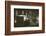 A coffee stall at Hyde Park Corner, London, 20th century-Unknown-Framed Photographic Print