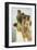 A Coign of Vantage-Sir Lawrence Alma-Tadema-Framed Premium Giclee Print