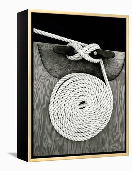 A Coiled Rope on a Dock-Rip Smith-Framed Premier Image Canvas