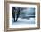 A Cold Winter Memory-Philippe Sainte-Laudy-Framed Photographic Print