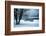 A Cold Winter Memory-Philippe Sainte-Laudy-Framed Photographic Print