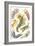 A Collection of Nudibranchia from 'Kunstformen Der Natur', 1899-Ernst Haeckel-Framed Giclee Print