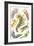 A Collection of Nudibranchia from 'Kunstformen Der Natur', 1899-Ernst Haeckel-Framed Giclee Print