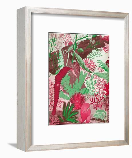 'A Collection of Over Fifty Species of Red, Green and Brown Seaweeds', 1935-Unknown-Framed Giclee Print