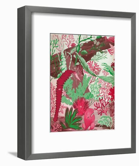 'A Collection of Over Fifty Species of Red, Green and Brown Seaweeds', 1935-Unknown-Framed Giclee Print