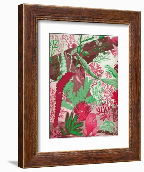 'A Collection of Over Fifty Species of Red, Green and Brown Seaweeds', 1935-Unknown-Framed Giclee Print