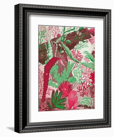 'A Collection of Over Fifty Species of Red, Green and Brown Seaweeds', 1935-Unknown-Framed Giclee Print