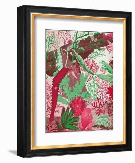 'A Collection of Over Fifty Species of Red, Green and Brown Seaweeds', 1935-Unknown-Framed Giclee Print