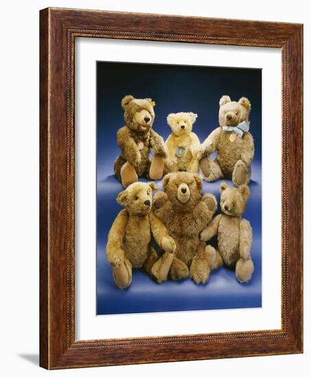 A Collection of Steiff Teddy Bears-Steiff-Framed Giclee Print