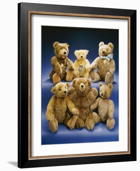 A Collection of Steiff Teddy Bears-Steiff-Framed Giclee Print