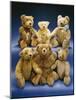 A Collection of Steiff Teddy Bears-Steiff-Mounted Giclee Print