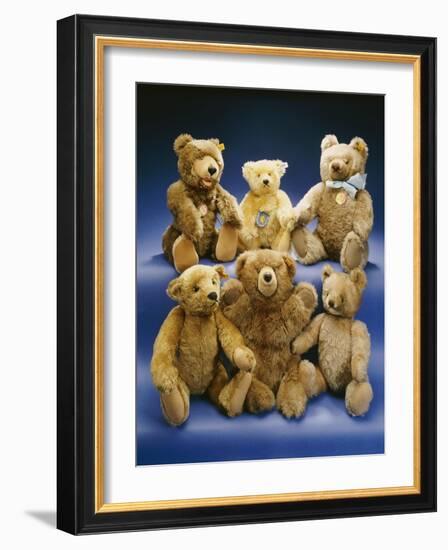 A Collection of Steiff Teddy Bears-Steiff-Framed Giclee Print