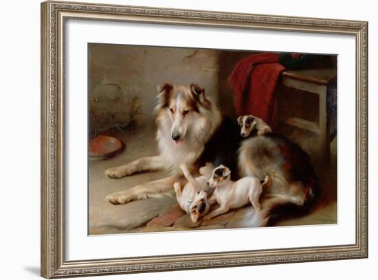 A Collie with Fox Terrier Puppies, 1913-Walter Hunt-Framed Giclee Print