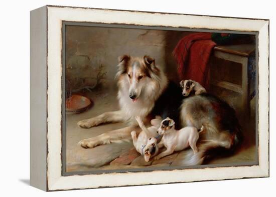 A Collie with Fox Terrier Puppies, 1913-Walter Hunt-Framed Premier Image Canvas