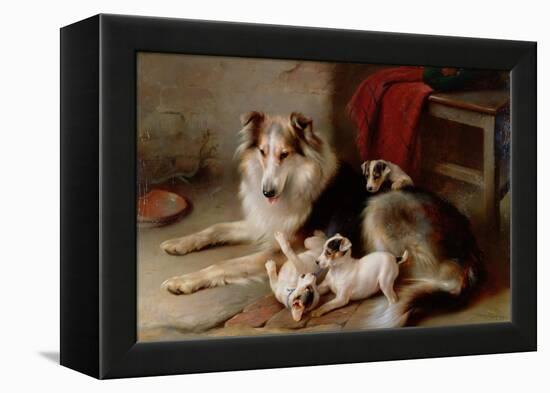 A Collie with Fox Terrier Puppies, 1913-Walter Hunt-Framed Premier Image Canvas