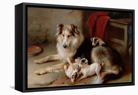 A Collie with Fox Terrier Puppies, 1913-Walter Hunt-Framed Premier Image Canvas