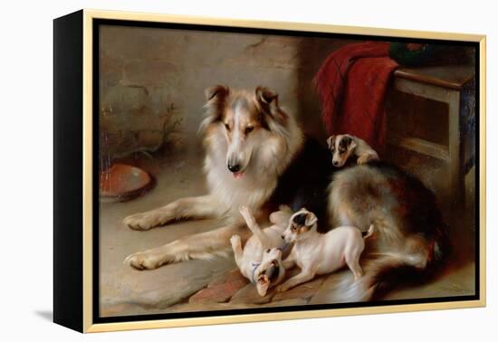 A Collie with Fox Terrier Puppies, 1913-Walter Hunt-Framed Premier Image Canvas