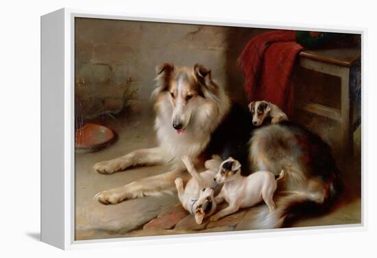 A Collie with Fox Terrier Puppies, 1913-Walter Hunt-Framed Premier Image Canvas