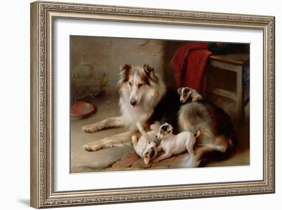 A Collie with Fox Terrier Puppies, 1913-Walter Hunt-Framed Giclee Print