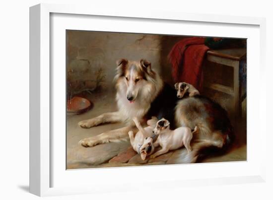 A Collie with Fox Terrier Puppies, 1913-Walter Hunt-Framed Giclee Print