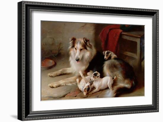 A Collie with Fox Terrier Puppies, 1913-Walter Hunt-Framed Giclee Print