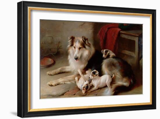 A Collie with Fox Terrier Puppies, 1913-Walter Hunt-Framed Giclee Print