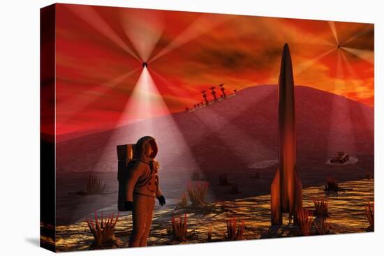 Stretched Canvas Print, , large