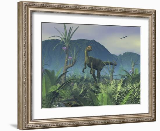 A Colorful Adult Male Dilophosaurus Explores a Hilltop-Stocktrek Images-Framed Photographic Print