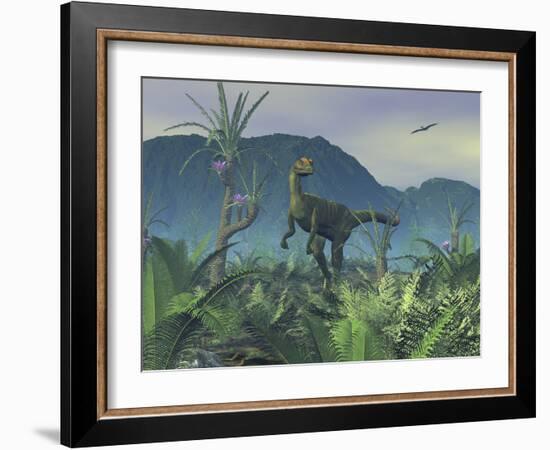 A Colorful Adult Male Dilophosaurus Explores a Hilltop-Stocktrek Images-Framed Photographic Print