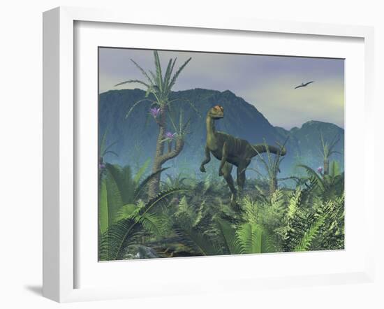 A Colorful Adult Male Dilophosaurus Explores a Hilltop-Stocktrek Images-Framed Photographic Print