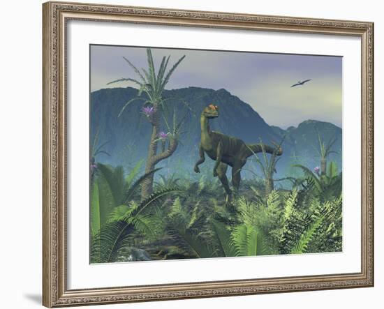 A Colorful Adult Male Dilophosaurus Explores a Hilltop-Stocktrek Images-Framed Photographic Print