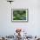 A Colorful Brassy-Breasted Tanager, Tangara Desmaresti, Sits on a Branch-Alex Saberi-Framed Photographic Print displayed on a wall