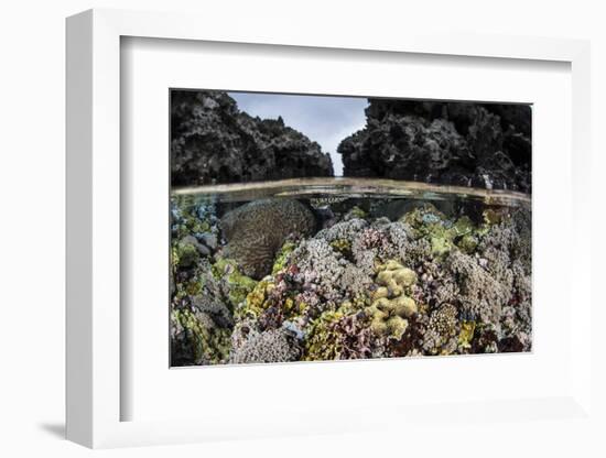 A Colorful Coral Reef Grows in Shallow Water in the Solomon Islands-Stocktrek Images-Framed Photographic Print