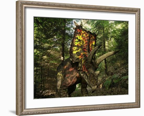 A Colorful Pentaceratops Wanders a Cretaceious Forest-Stocktrek Images-Framed Photographic Print