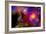 A Colorful Section of Alien Space in Our Galaxy-null-Framed Premium Giclee Print