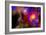 A Colorful Section of Alien Space in Our Galaxy-null-Framed Premium Giclee Print