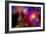 A Colorful Section of Alien Space in Our Galaxy-null-Framed Premium Giclee Print