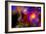 A Colorful Section of Alien Space in Our Galaxy-null-Framed Premium Giclee Print