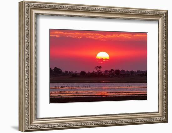 A colorful sunset along the banks of the Chobe River, Chobe National Park, Kasane, Botswana.-Sergio Pitamitz-Framed Photographic Print