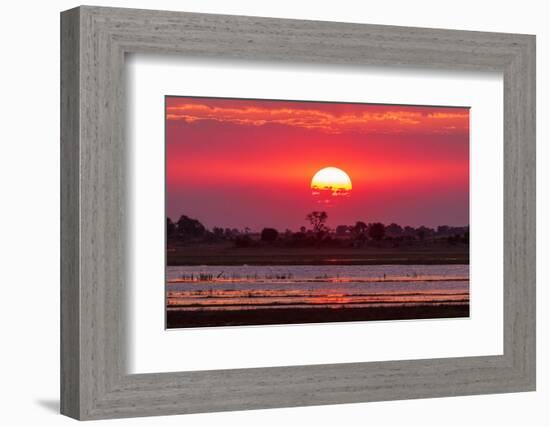 A colorful sunset along the banks of the Chobe River, Chobe National Park, Kasane, Botswana.-Sergio Pitamitz-Framed Photographic Print