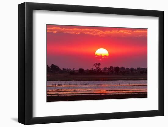 A colorful sunset along the banks of the Chobe River, Chobe National Park, Kasane, Botswana.-Sergio Pitamitz-Framed Photographic Print